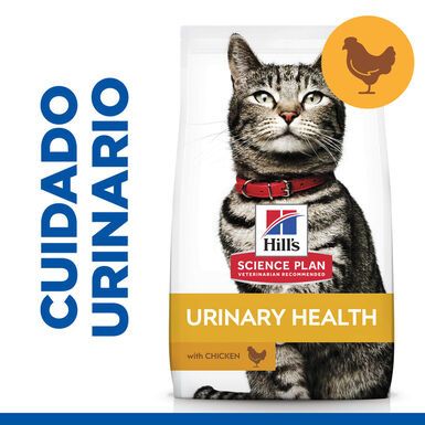 Hill's Urinary Frango ração para gatos 